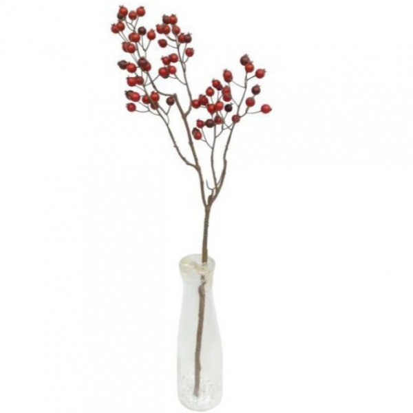 (ab 15.9. erhältlich) Beerenzweig