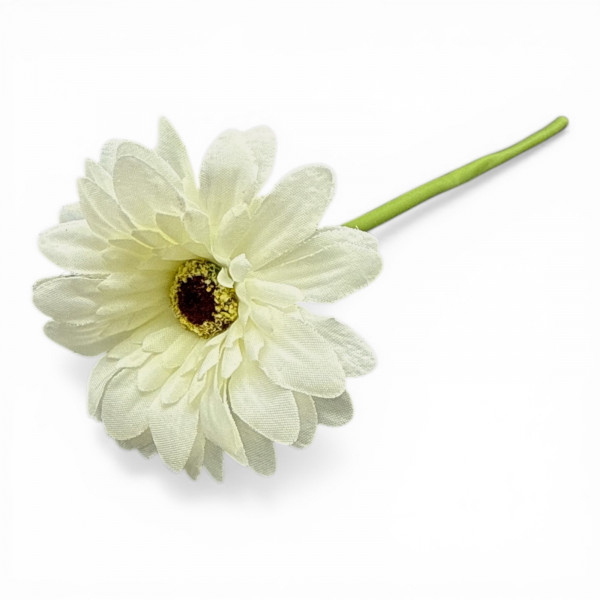 Mini-Gerbera