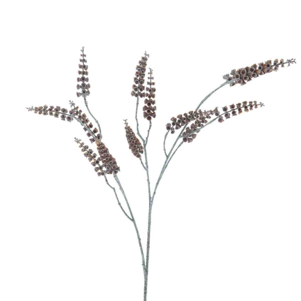 (ab 15.9. erhältlich) Seed Zweig