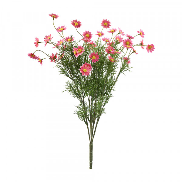 Vorbestellung: (130) Daisy Busch