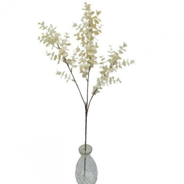 (ab 15.9. erhältlich) Eucalypthus-Zweig