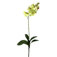 "Real touch" Orchidee m.Blatt "Real touch" Orchidee m.Blatt