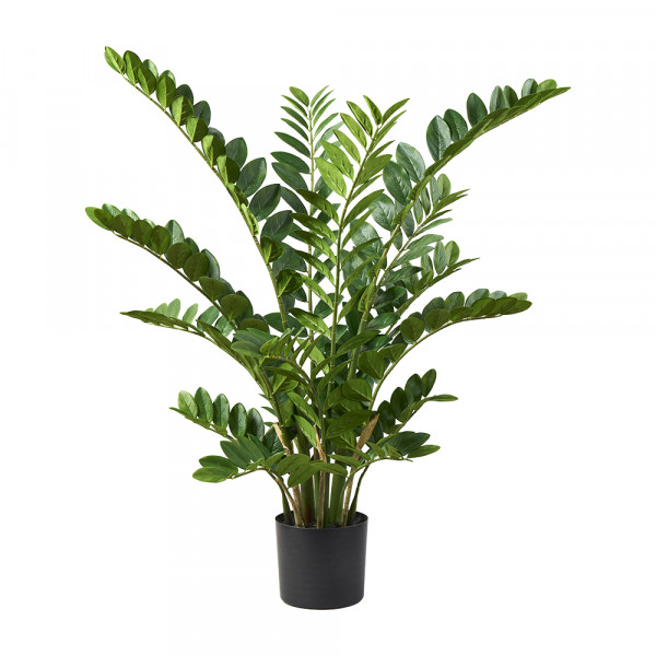 Vorbestellung: (069) Zakifolia Busch x 15 mit 294 Blätter