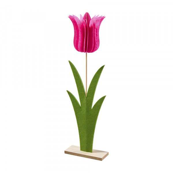 (386) Filztulpe auf Stand