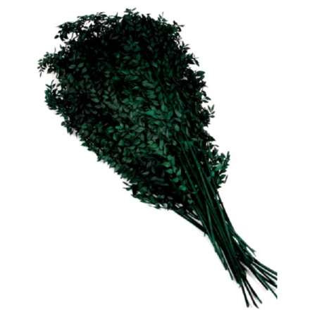 Ruskus