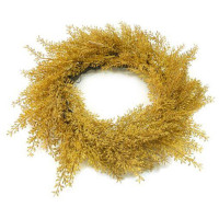 Amaranthus Kranz Amaranthus Kranz