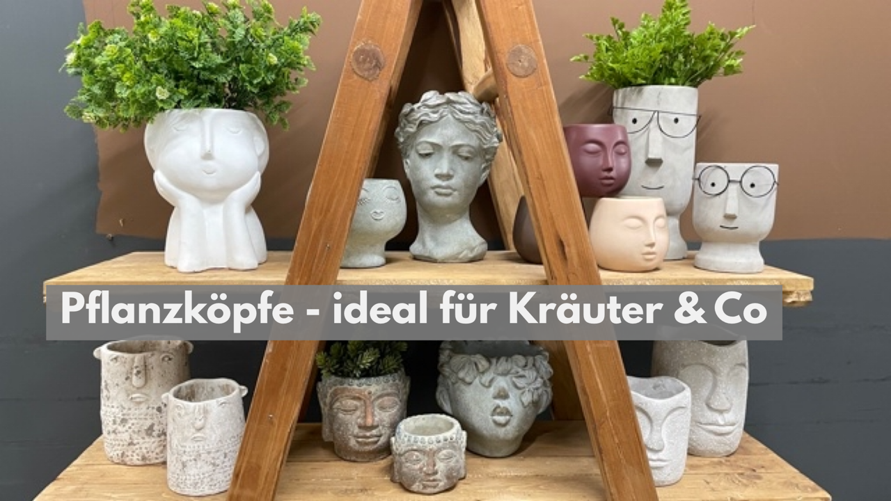 Pflanzkoepfe