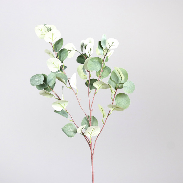 Eukalyptus-Zweig groß