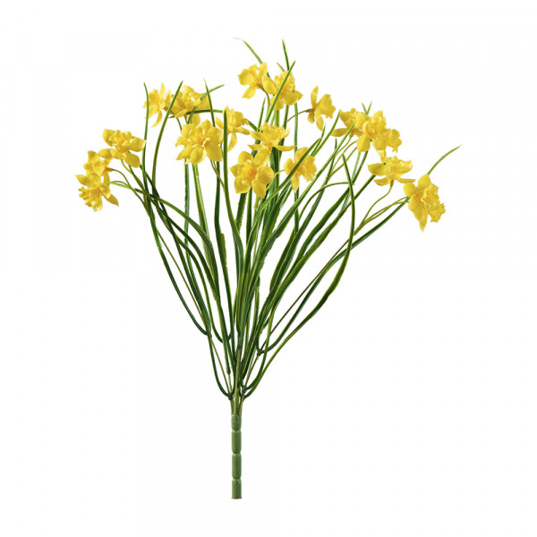 Vorbestellung: (440) Narzissenbündel x5