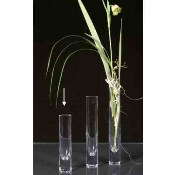 Glas "SOLO"