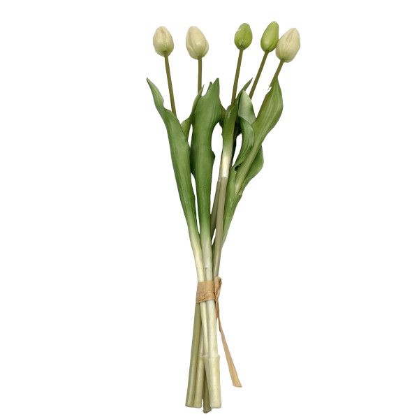 Tulpenknospen Bund x 5