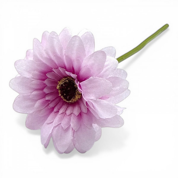 Mini-Gerbera