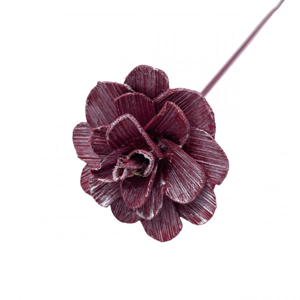 Coco Rose pearlwashed