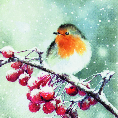 20 Servietten "Hello Robin"