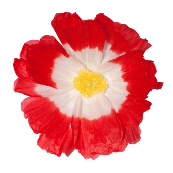 Papier-Dekoblume