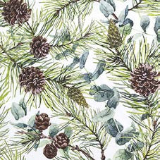 20 Servietten "Eucalyptus and Pine"