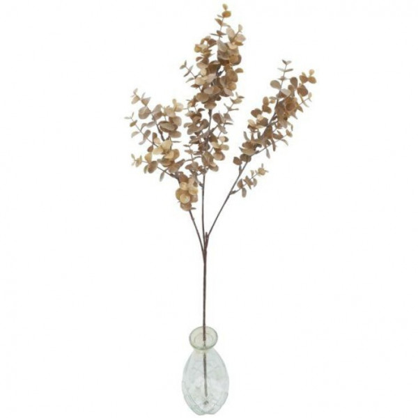 (ab 15.9. erhältlich) Eucalypthus-Zweig