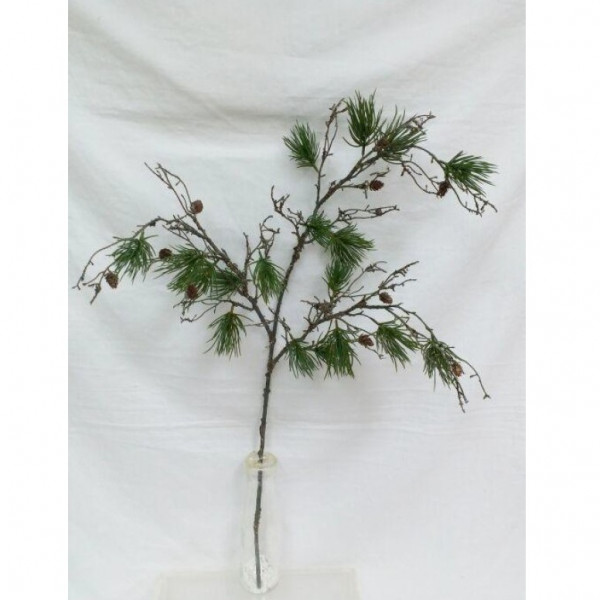 (ab 15.9. erhältlich) Tannenzweig mit Moos