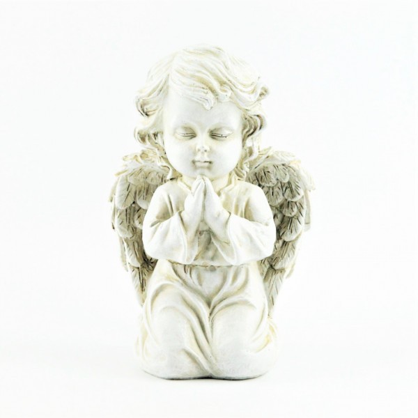 Poly-Engel Jakob