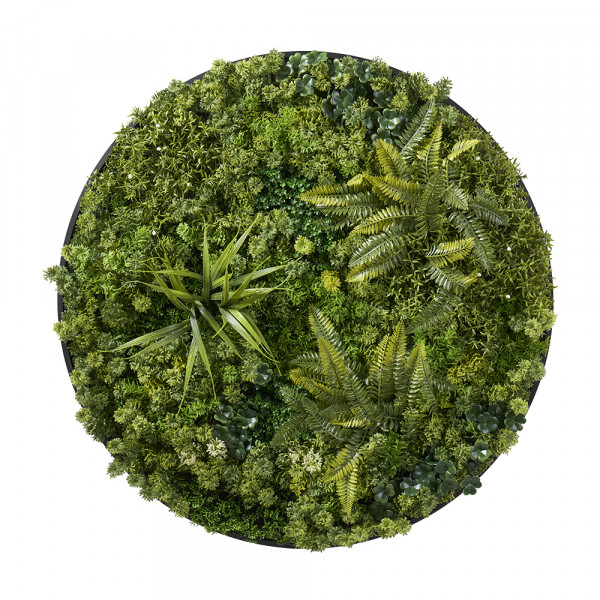 Grasmatte im Rahmen rund