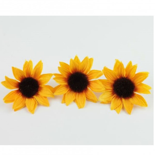 Sonnenblumen-Köpfe