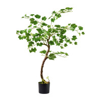 Weinrebstock im Topf mit 106 Blätter Weinrebstock im Topf mit 106 Blätter