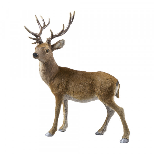 Poly-Hirsch stehend