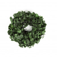 Eukalyptus-Silverdollar Kranz präpariert Eukalyptus-Silverdollar Kranz präpariert