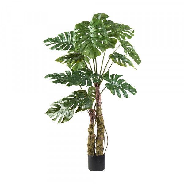 (057) Splitt Philo Baum mit 14 Blätter