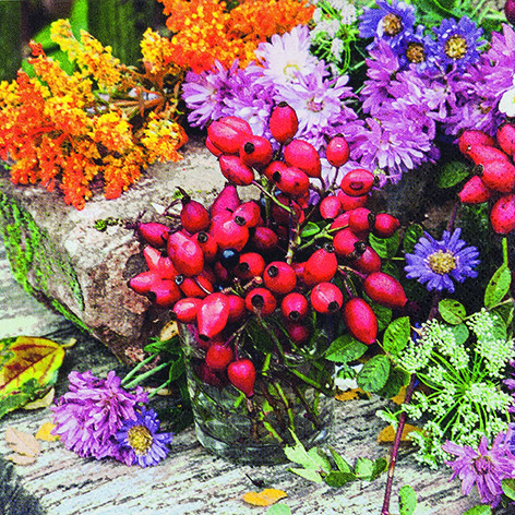 20 Servietten "Rosehip"