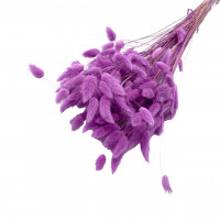 Lagurus 45gr. Lagurus 45gr.