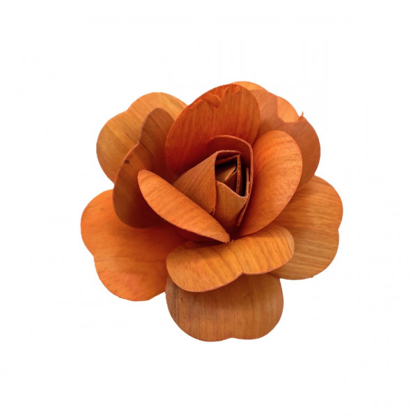 (ab 15.9. erhältlich) Holzrose