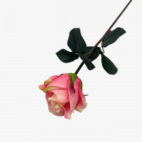 Rose "Dani" Rose "Dani"