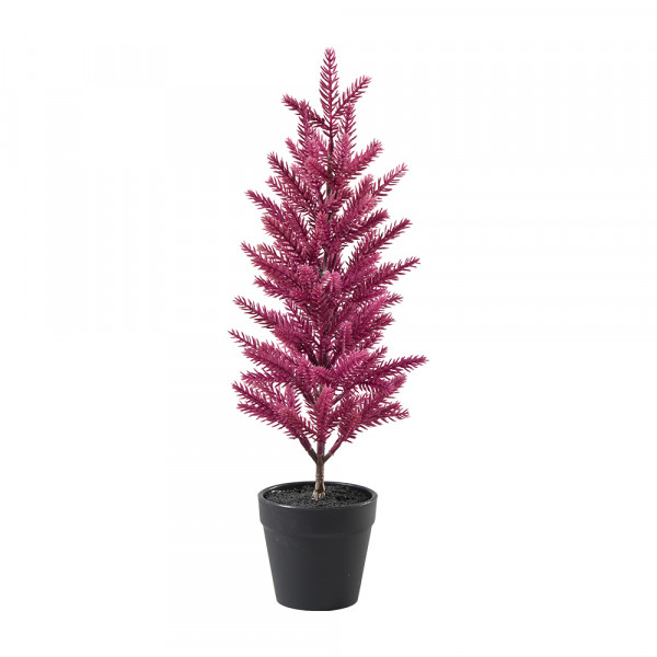 Vorbestellung: (316) Tannenbaum im Plastiktopf