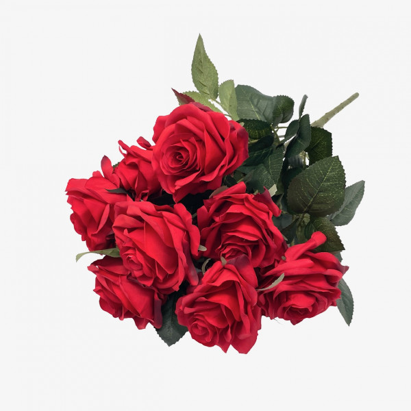 Rosenbusch "Dijon" x10