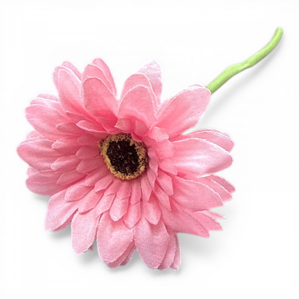 Mini-Gerbera