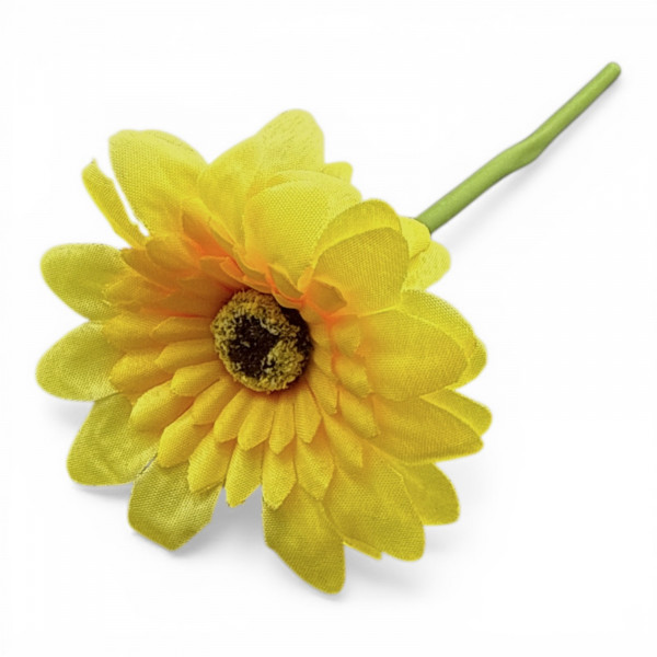 Mini-Gerbera