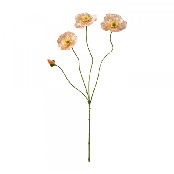 (165) Mohn Zweig 3 Blüten 1 Knospe