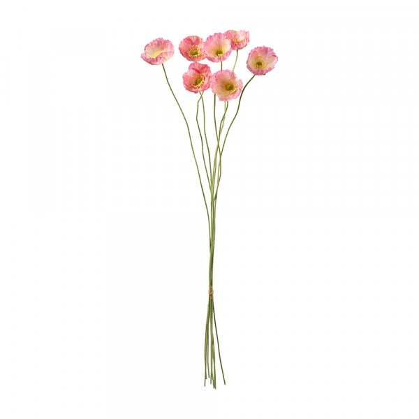 Vorbestellung: (326) Mohn