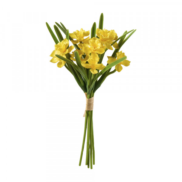 Vorbestellung: (441) Narzissenbündel x5