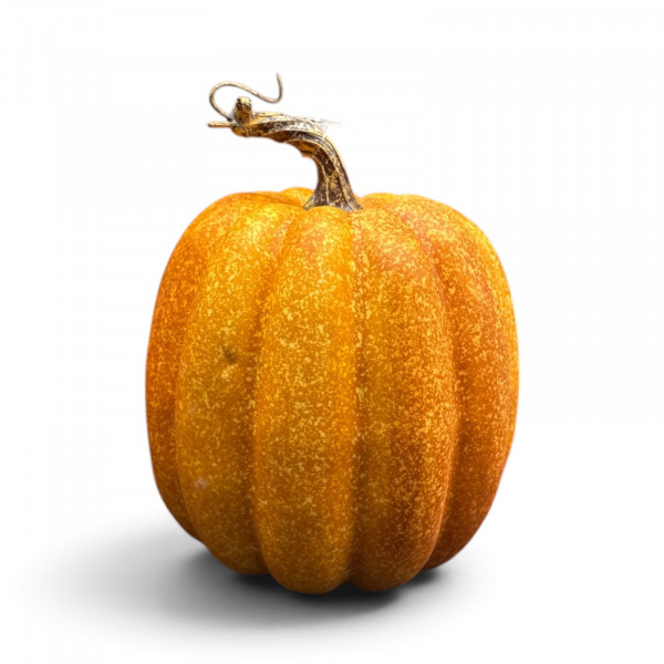 Kürbis