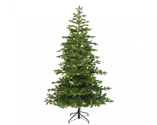 Balsamea Tanne Micro LED indoor