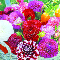 20 Servietten "Dahlia Basket" 20 Servietten "Dahlia Basket"