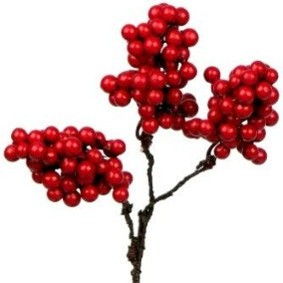 Beerendoldenpick ( Box a 12 Stk)