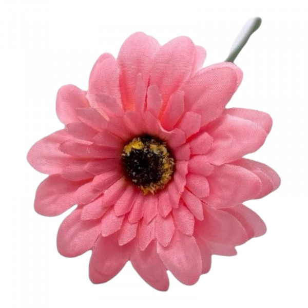 Mini-Gerbera