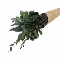 Eukalyptus Sortiment stabilisiert Eukalyptus Sortiment stabilisiert