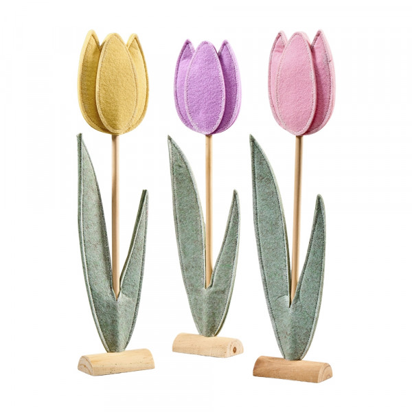 Filz-Tulpe am Stand 3f sort