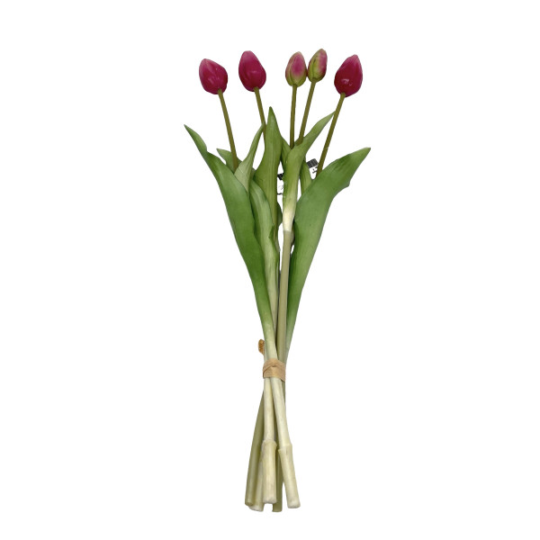 Tulpenknospen Bund x 5