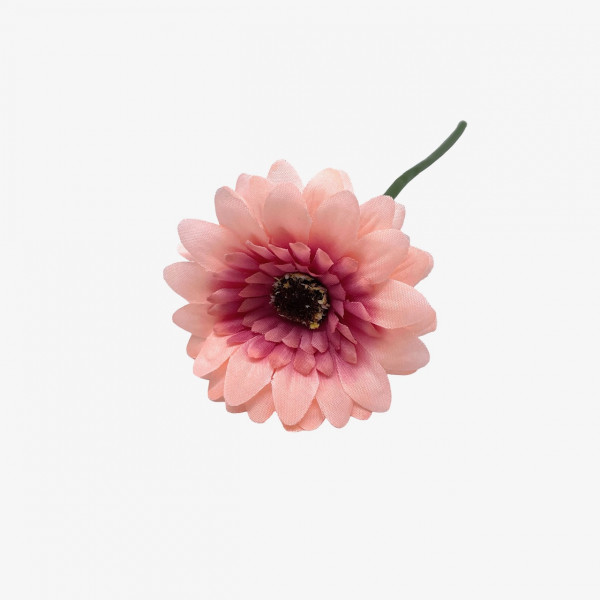 Mini-Gerbera