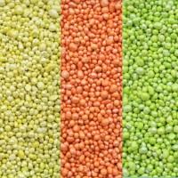 LIGHT-Brilliant Granulat LIGHT-Brilliant Granulat